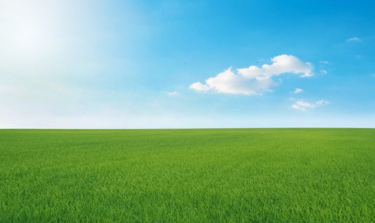 Green,Meadows,With,Blue,Sky,And,Clouds,Background.